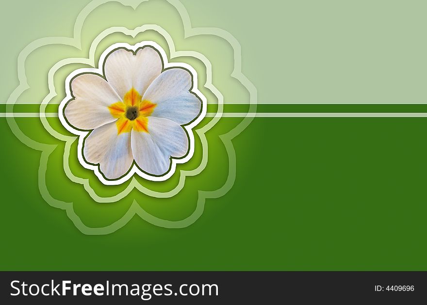 Romantic background with isolated flower