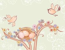 Birds And Nest Royalty Free Stock Image Birds And Nest Royalty Free Stock Image