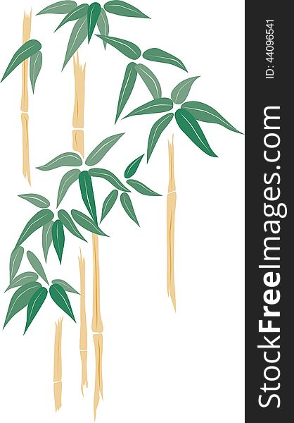 Vector image of a bamboo plant.