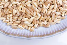 Dish Of Wheat Berries Stock Image Dish Of Wheat Berries Stock Image