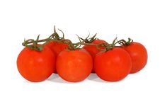 Vine Tomatoes Royalty Free Stock Image Vine Tomatoes Royalty Free Stock Image