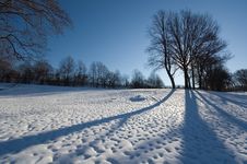 Winter At The Park Royalty Free Stock Images Winter At The Park Royalty Free Stock Images