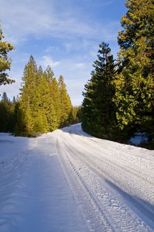 Snowy Road Through Forest Stock Images Snowy Road Through Forest Stock Images
