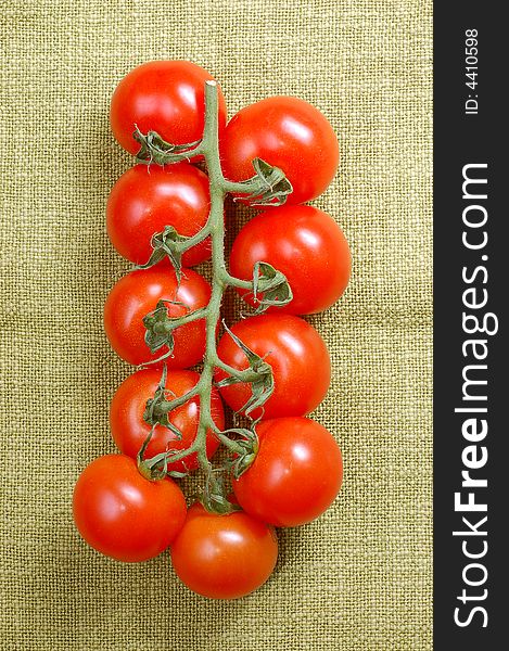 Red cherry tomatoes on the vine close-up view