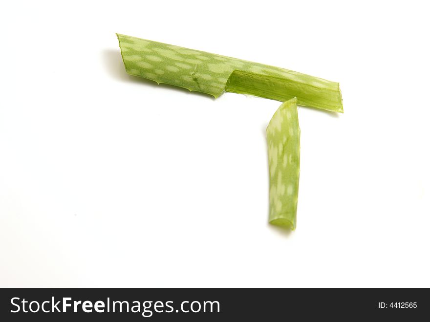 Cut aloe vera plant leaf with juices running out