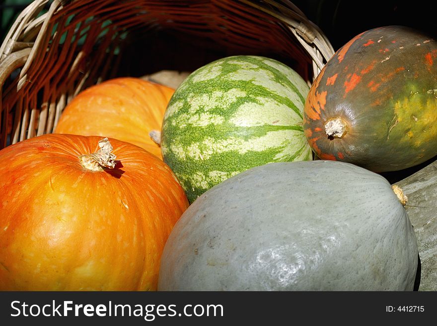 Oveflowing basket of pumpkins and a watermelon. Oveflowing basket of pumpkins and a watermelon