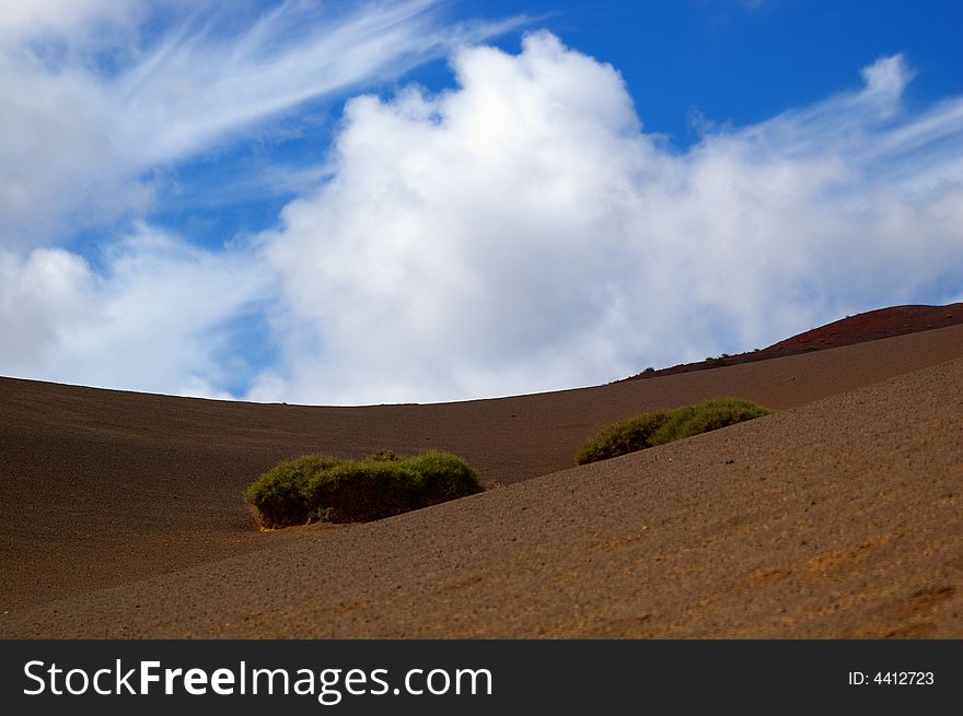 Dunelike landscape on the vulcanic Canary island of Lanzarote. Dunelike landscape on the vulcanic Canary island of Lanzarote