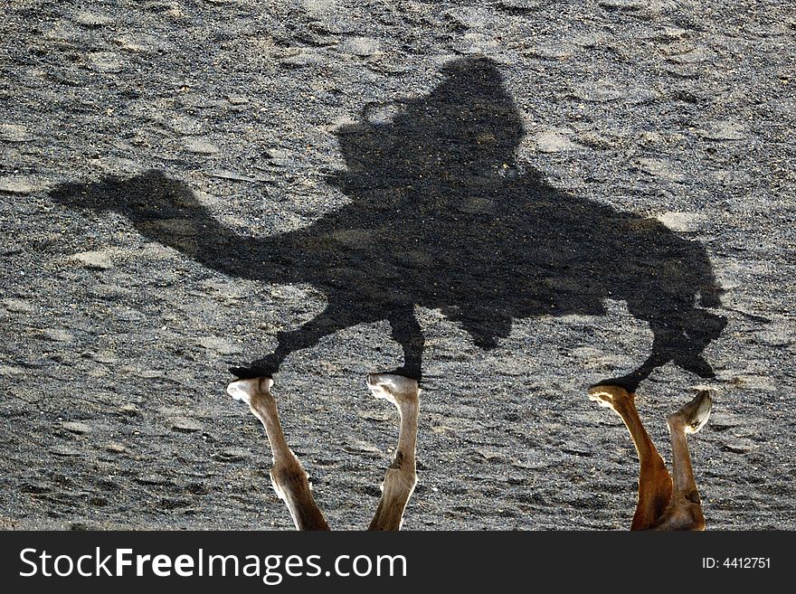 Shadow of a camel and rider. Shadow of a camel and rider