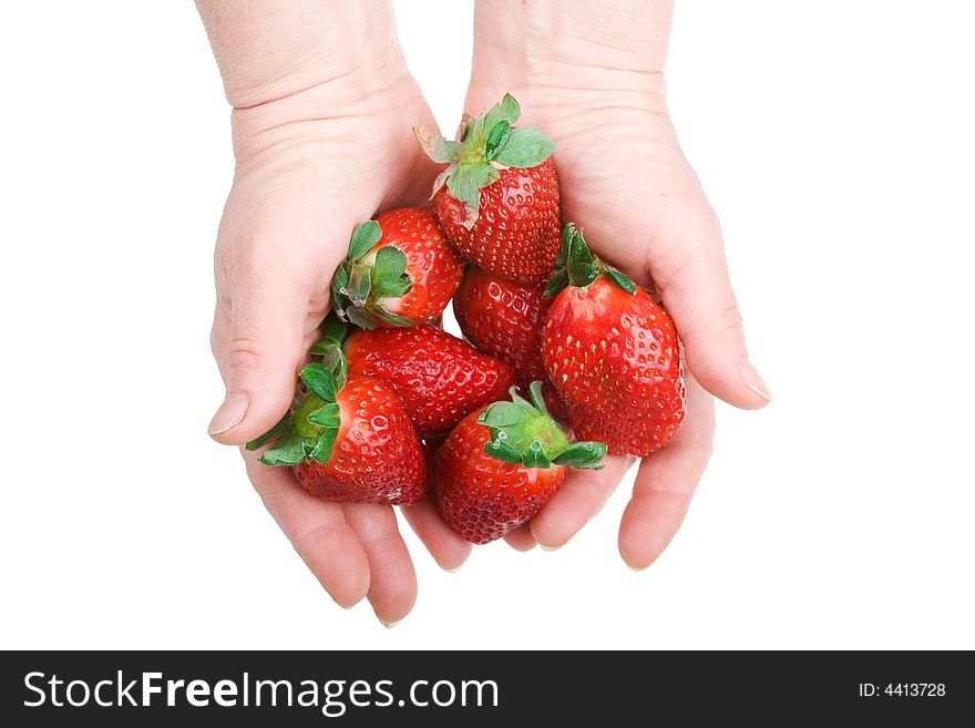 Two hands hold a strawberry isolated on a white background