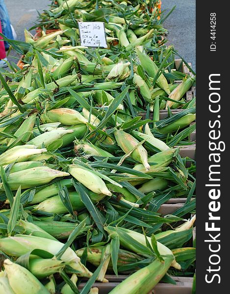 Stack of corn ears at the Farmers market. Stack of corn ears at the Farmers market