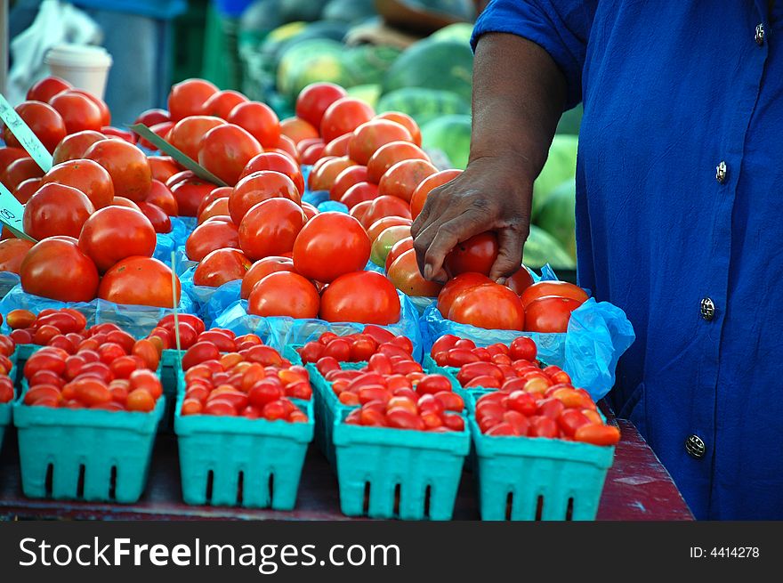 Customer picking tomatoes at the Farmer's market. Customer picking tomatoes at the Farmer's market