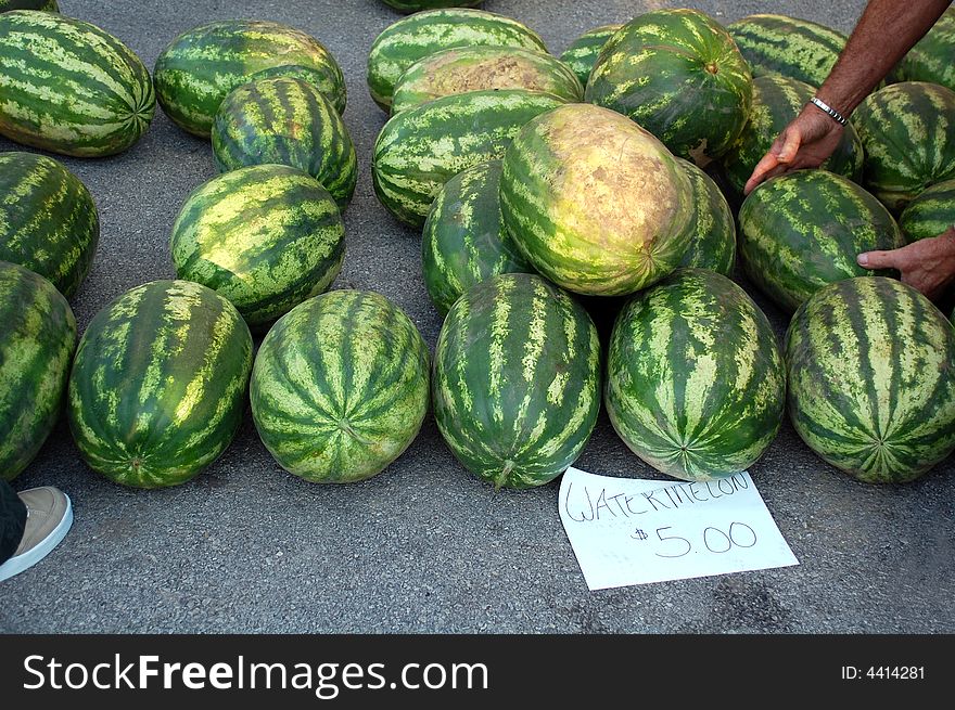 Customer shopping for watermelons at the farmers market. Customer shopping for watermelons at the farmers market