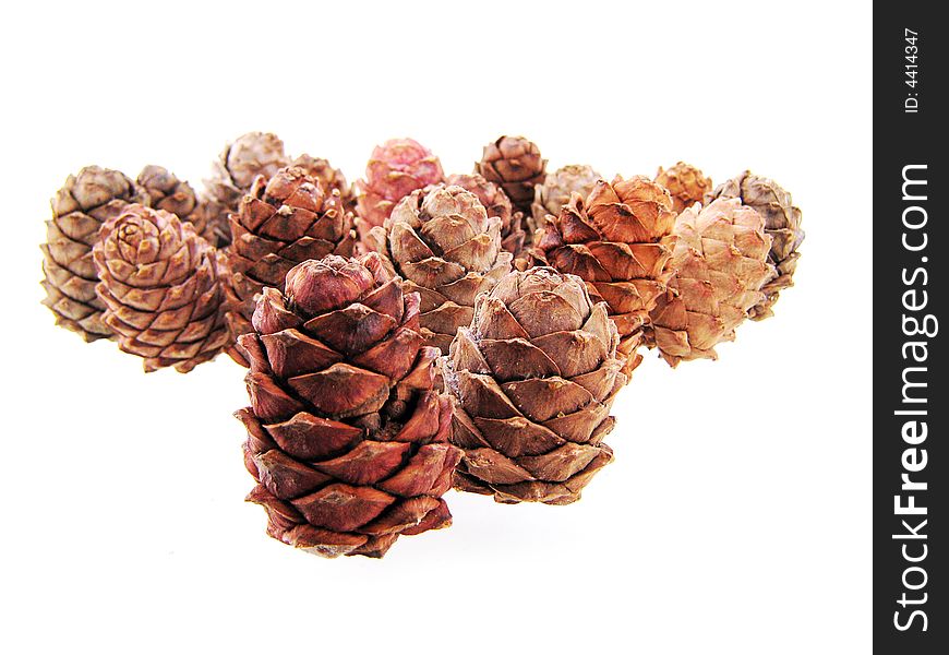 Pine cone isolated on white background. See my other cones.