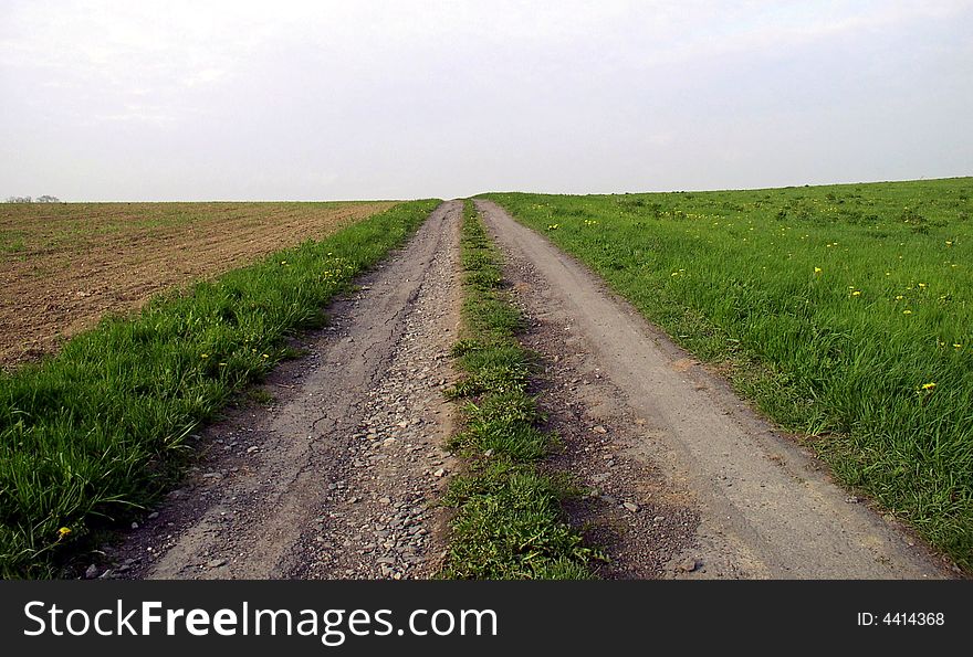 Field asphalt road in spring. Field asphalt road in spring