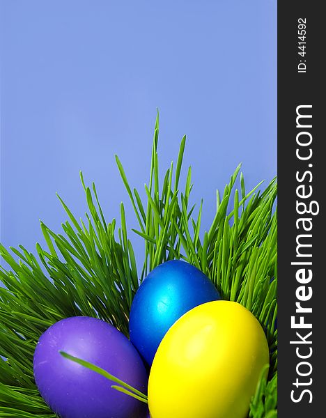 Easter holiday. Color eggs on the grass on blue background. Easter holiday. Color eggs on the grass on blue background.
