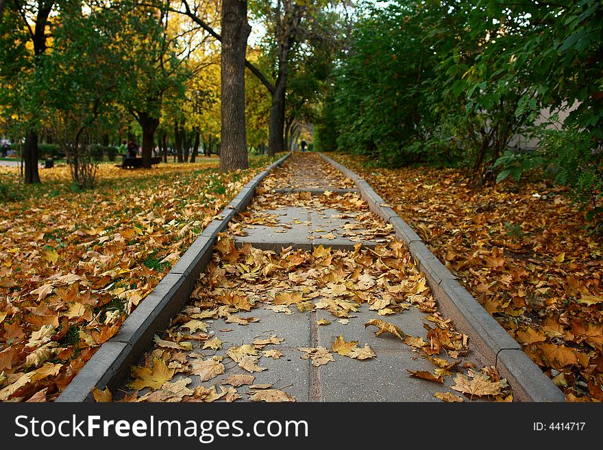 Track in the autumn park