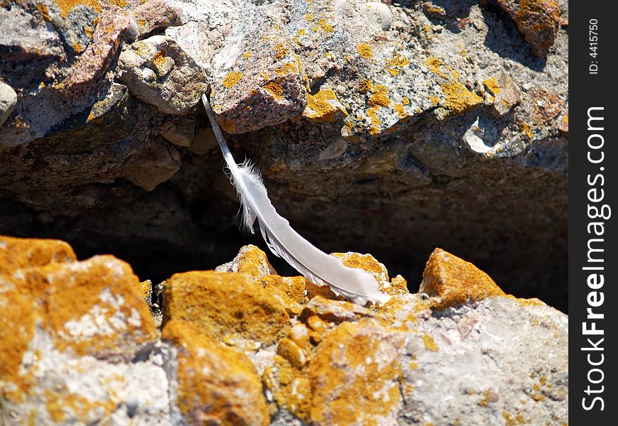 Very small bridge between rocks