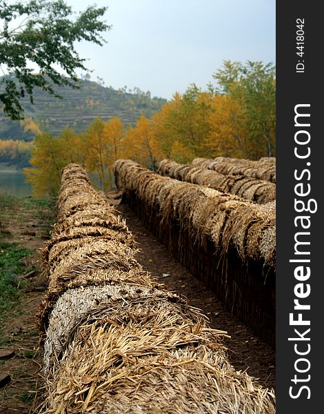 Ridges of straw haystack besides woods