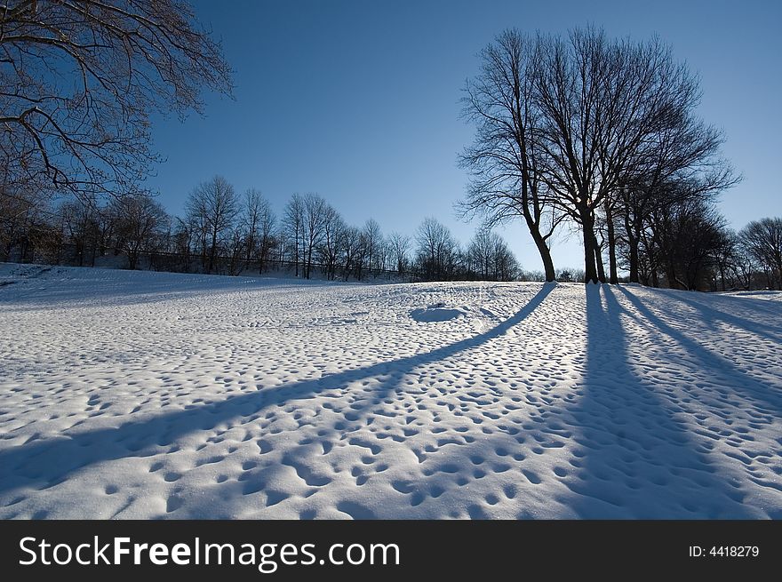 Early winter morning at the park. Trees in the distance casting long shadows on the ground. Early winter morning at the park. Trees in the distance casting long shadows on the ground.