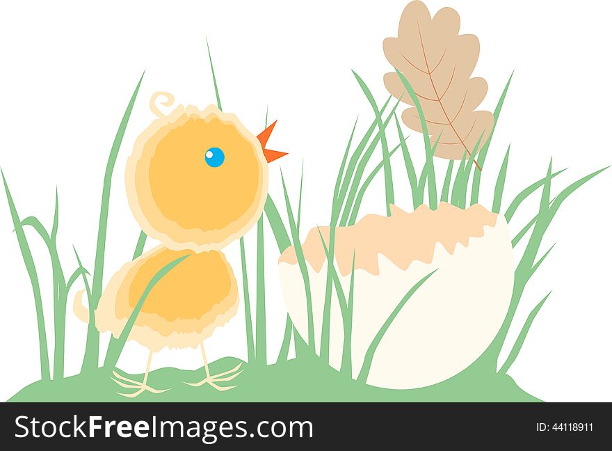 Chick In The Grass