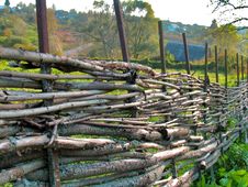 Wicker Fence Of Curved Wooden Twigs Stock Image