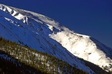 Colorado Mountain Slope With Snow And Pine Trees Royalty Free Stock Photo