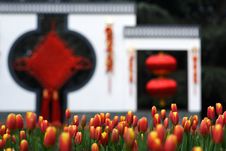 Chinese New Year S Day Stock Image Chinese New Year S Day Stock Image