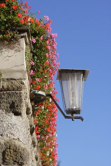 Street Lamp In Flowers Royalty Free Stock Photography Street Lamp In Flowers Royalty Free Stock Photography