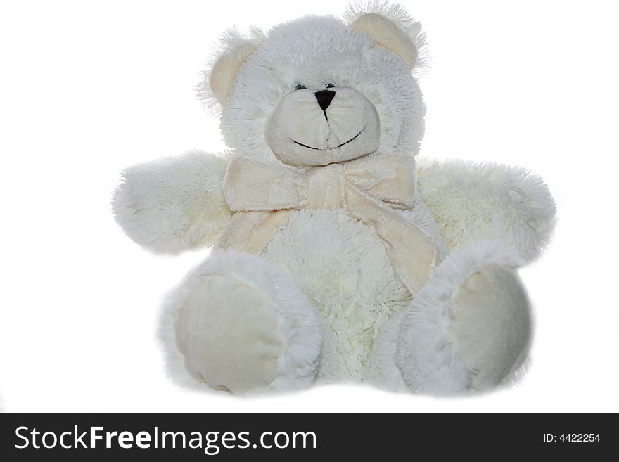 White teddy bear on white background