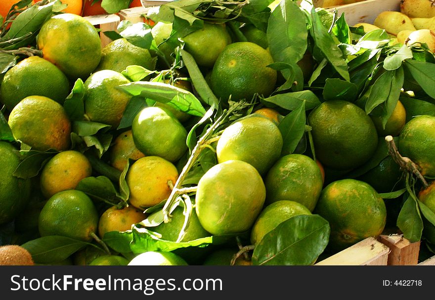 Green mandarines on venetian market. Green mandarines on venetian market