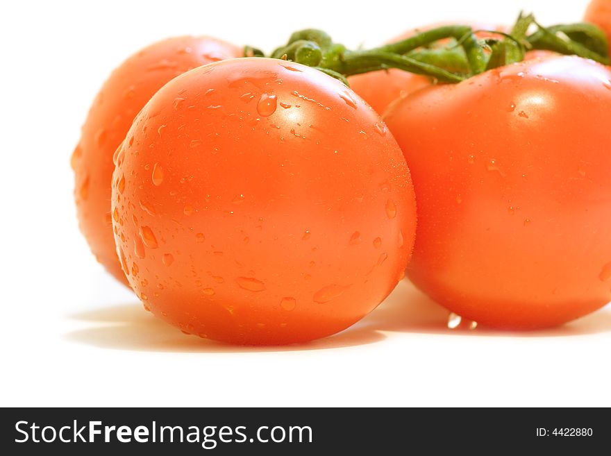 Orange tomatoes isolated on a white background