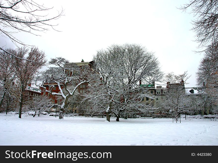 Stock image of a snowing winter at Boston, Massachusetts, USA. Stock image of a snowing winter at Boston, Massachusetts, USA