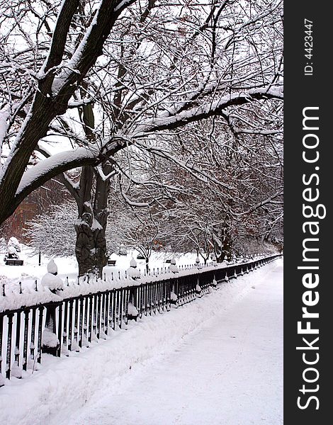 Stock image of a snowing winter at Boston, Massachusetts, USA. Stock image of a snowing winter at Boston, Massachusetts, USA