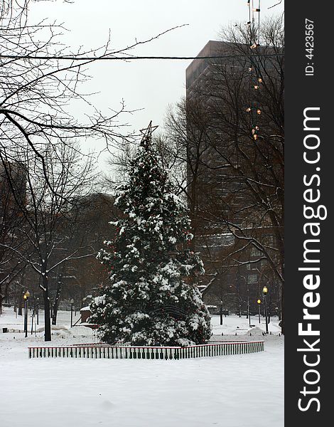 Stock image of a snowing winter at Boston, Massachusetts, USA. Stock image of a snowing winter at Boston, Massachusetts, USA