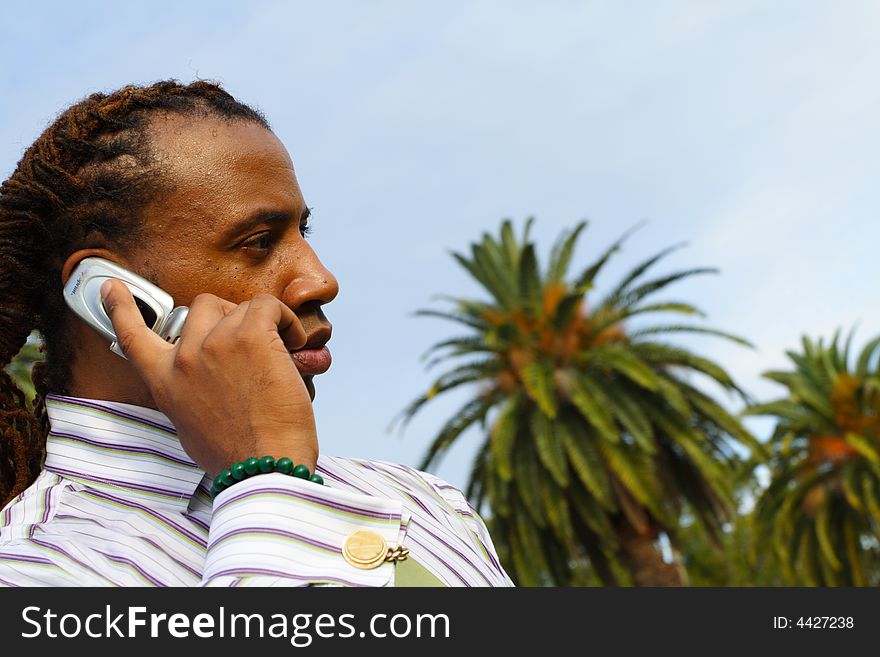 Businessman talking on the phone. Businessman talking on the phone