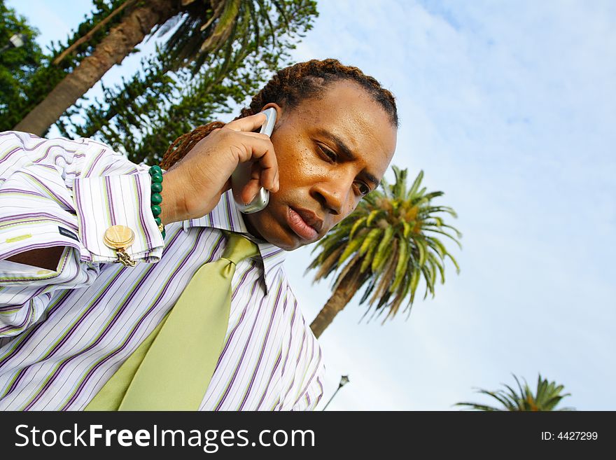 Businessman talking on the phone. Businessman talking on the phone