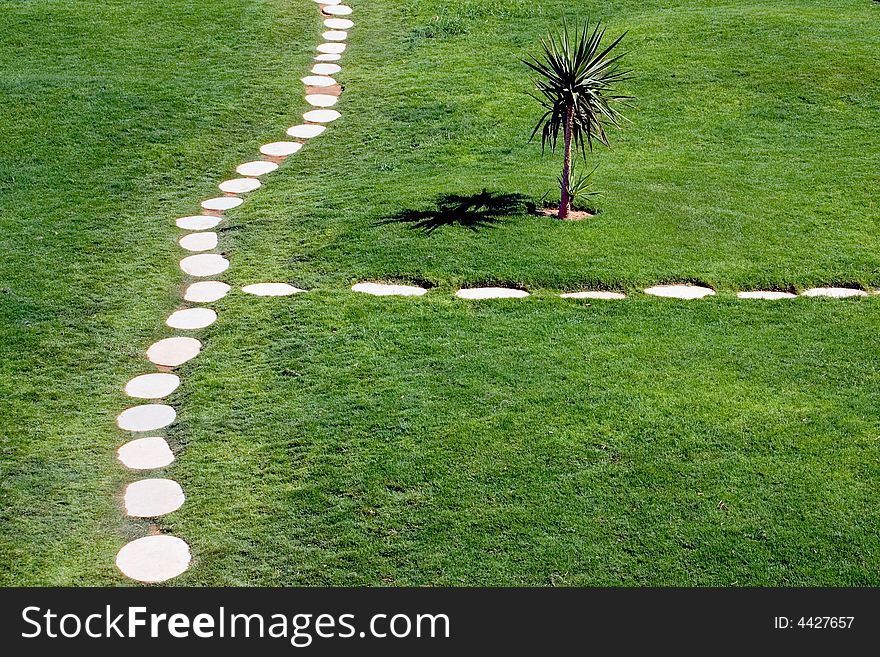 Stone Path Through Lawn