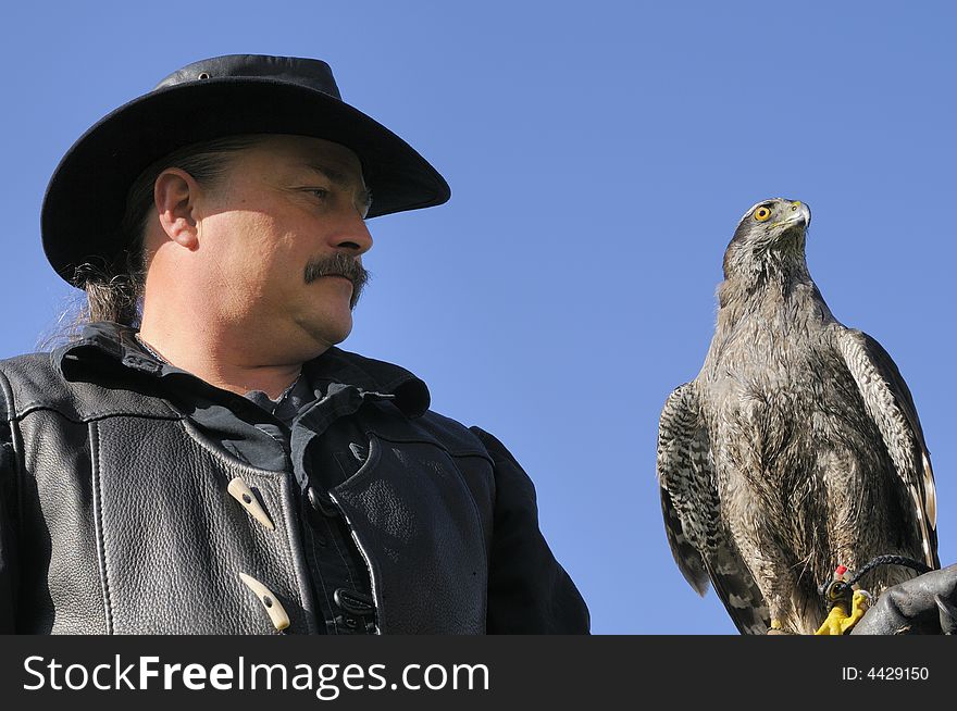 Goshawk closeup with falconer
