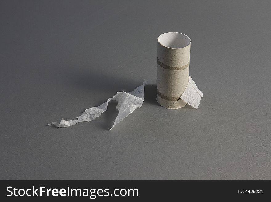 The end of toilet paper roll. The end of toilet paper roll