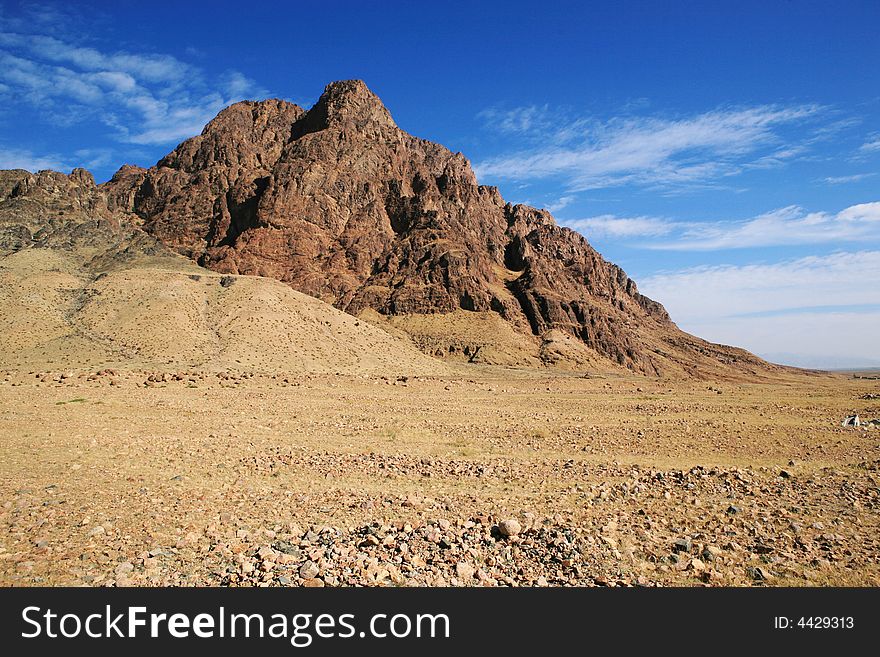 The picture was taken at Datong city, Shanxi Province China.Because of soil erosion, this part of the Loess Plateau become earth forest.