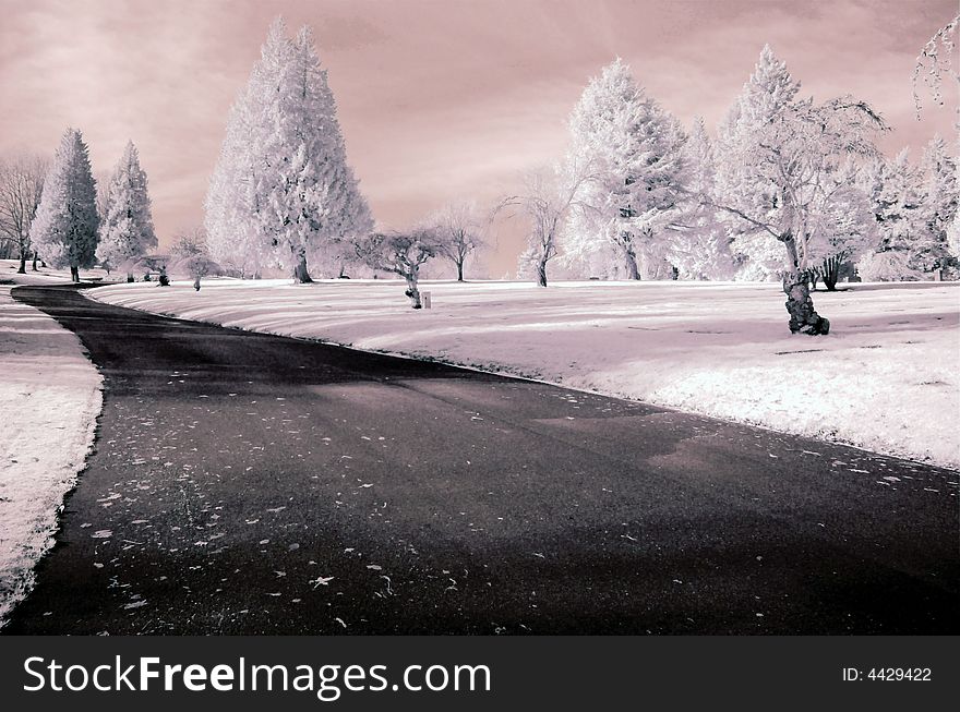 A road wanders through a cemetery in a dreamy scene. A road wanders through a cemetery in a dreamy scene