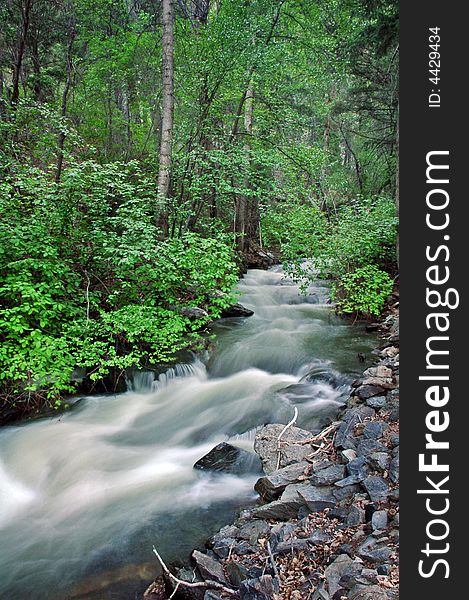 Water cascades through a mountain stream. Water cascades through a mountain stream