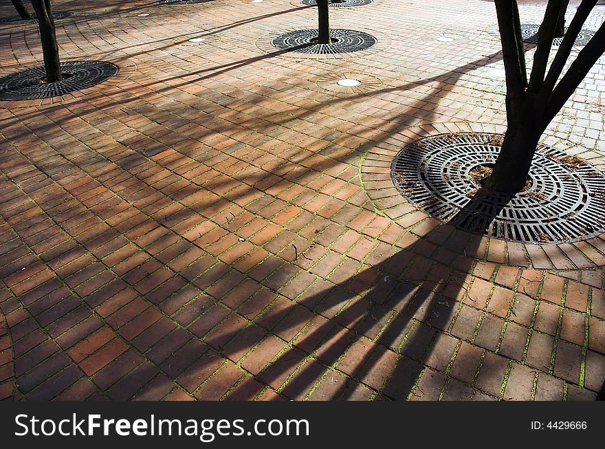 Shadows from a tree line up on a brick path. Shadows from a tree line up on a brick path