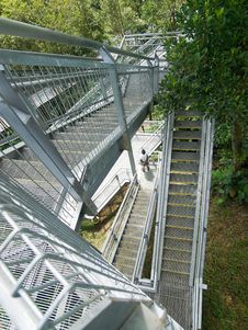 Tree Top Walk Royalty Free Stock Photography Tree Top Walk Royalty Free Stock Photography