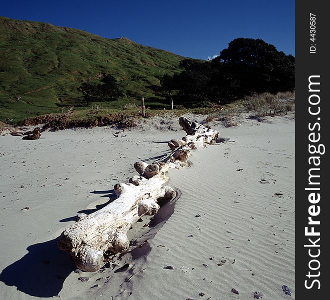 Sand beach in New Zealand. Sand beach in New Zealand