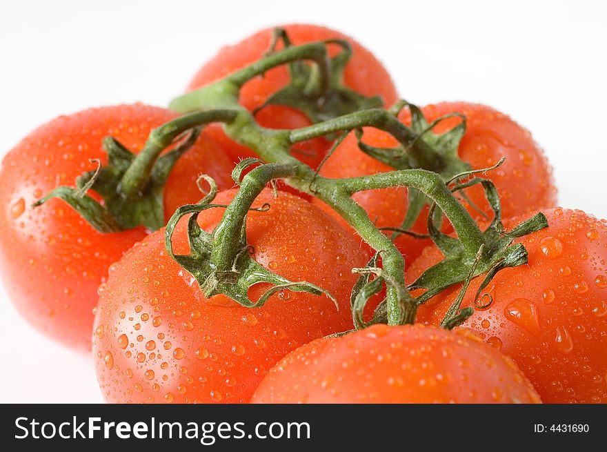 A branch of fresh red tomatoes on white background, a close-up macro