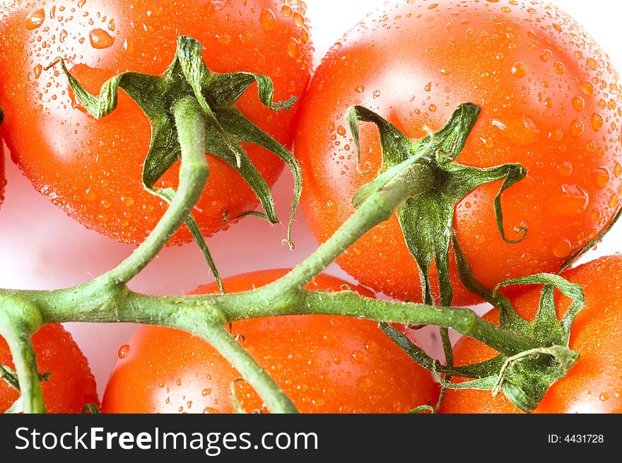 A branch of fresh red tomatoes on white background