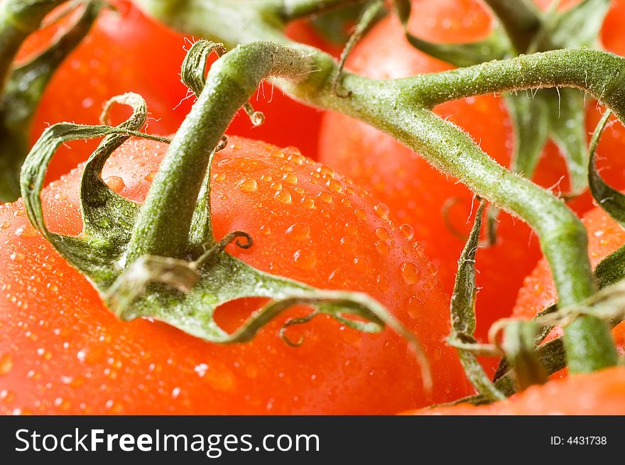 A branch of fresh red tomatoes, a close-up macro