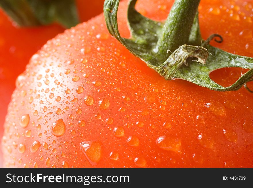 A branch of fresh red tomatoes, a close-up macro