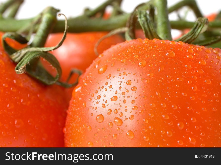 A branch of fresh red tomatoes on white background